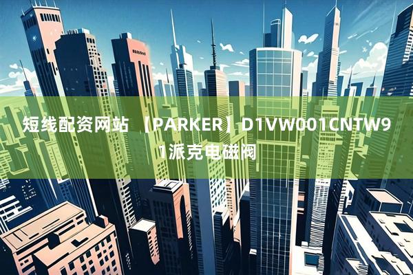 短线配资网站 【PARKER】D1VW001CNTW91派克电磁阀