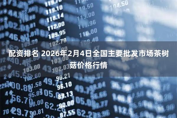 配资排名 2026年2月4日全国主要批发市场茶树菇价格行情