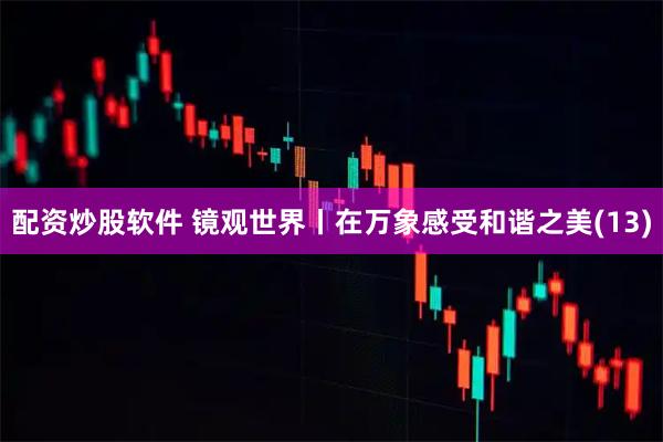 配资炒股软件 镜观世界丨在万象感受和谐之美(13)